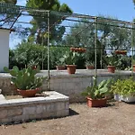 Casina Lupis Apartmán Grumo Appula