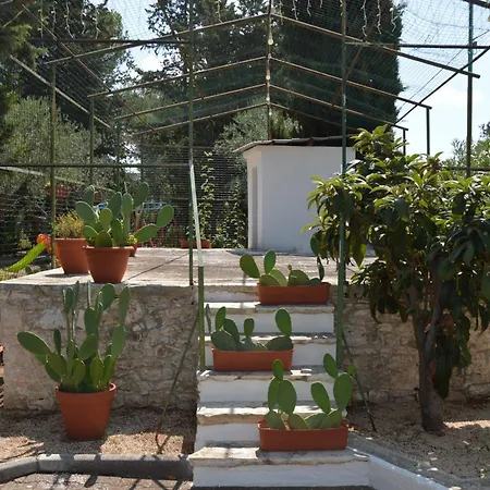 Casina Lupis Apartment *