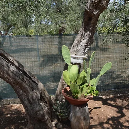 Apartment Casina Lupis