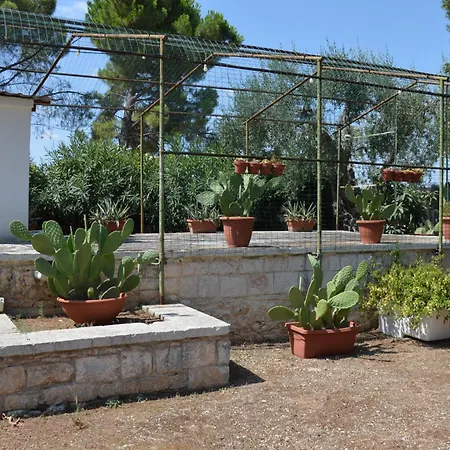 Casina Lupis Apartament Grumo Appula