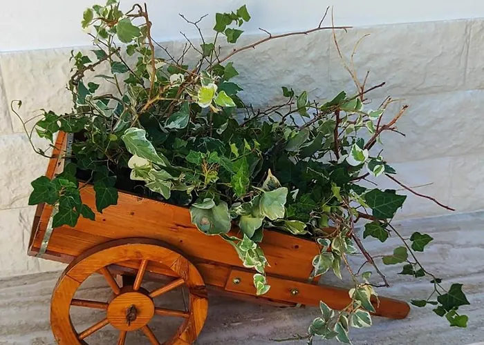 Casina Lupis شقة *